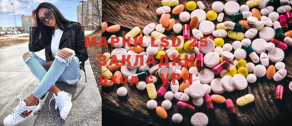 apvp Ельня