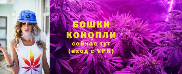 spice Елабуга