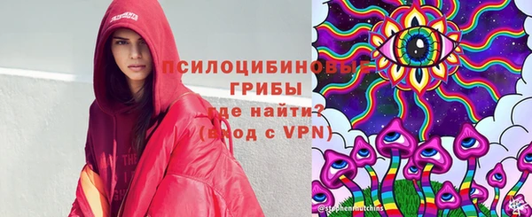spice Елабуга