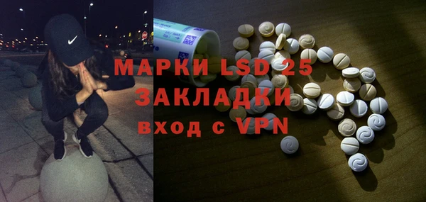 apvp Ельня