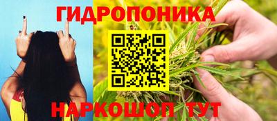 сатива Комсомольск-на-Амуре