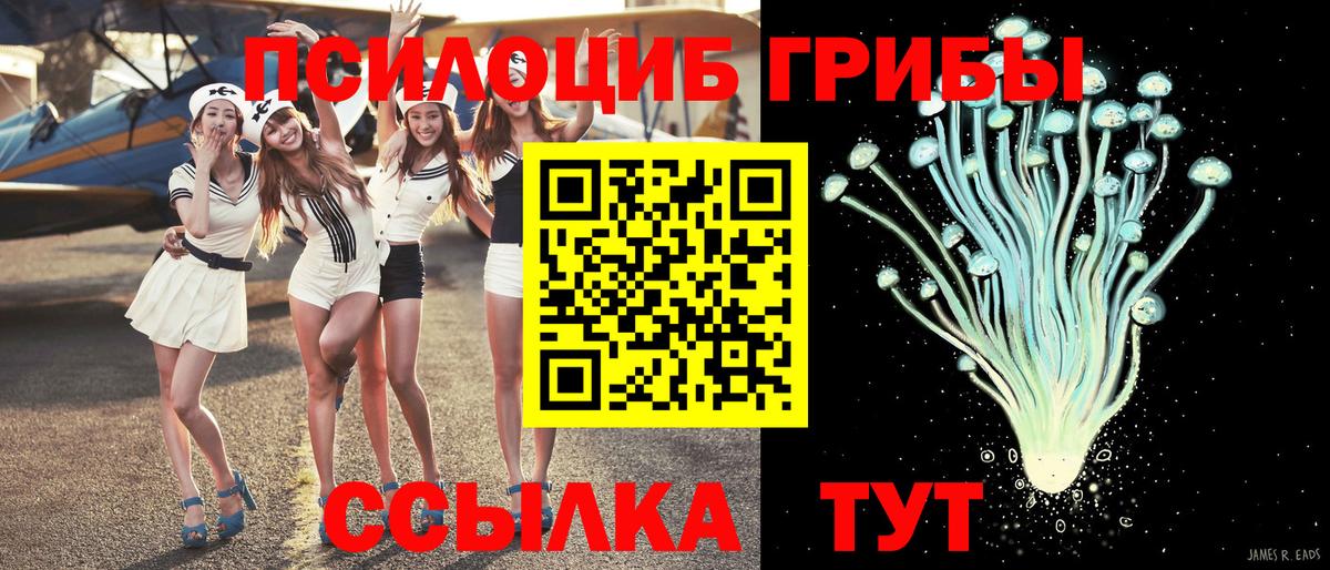 Красноярск  Псилоцибиновые грибы мицелий  Вход с VPN 